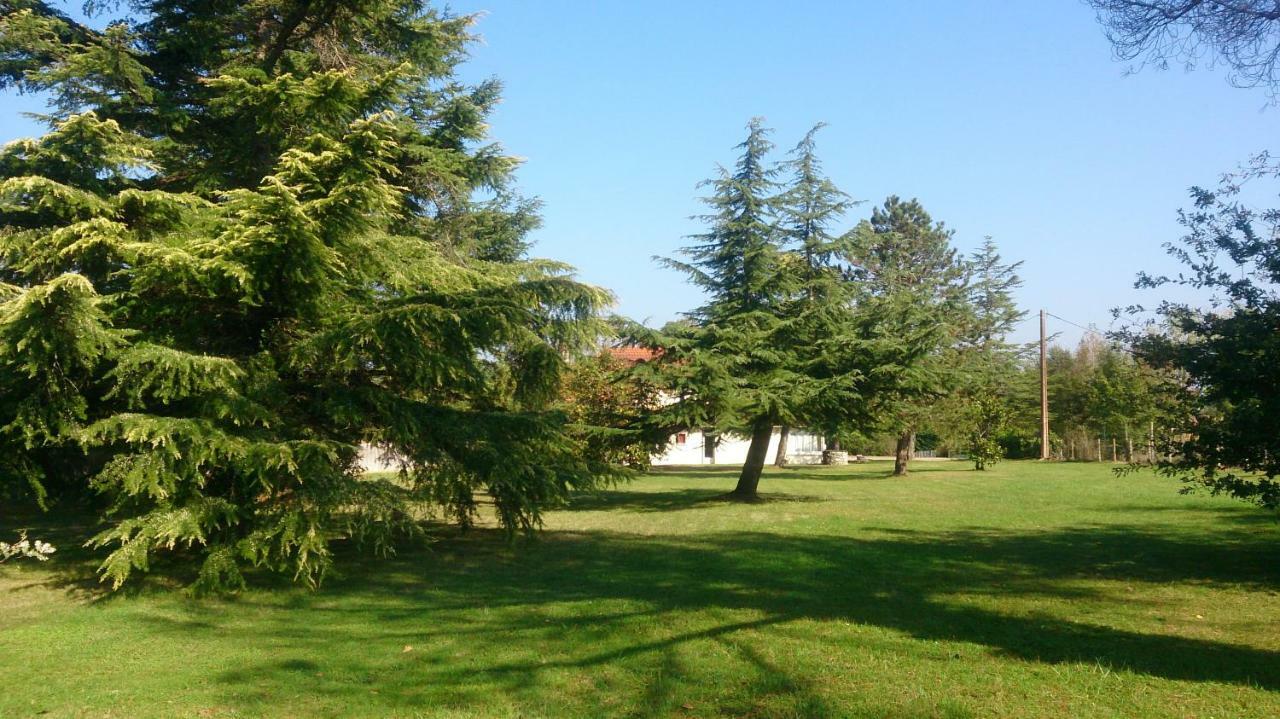 Bed and Breakfast Le Pontet Miramont-de-Guyenne Exterior foto